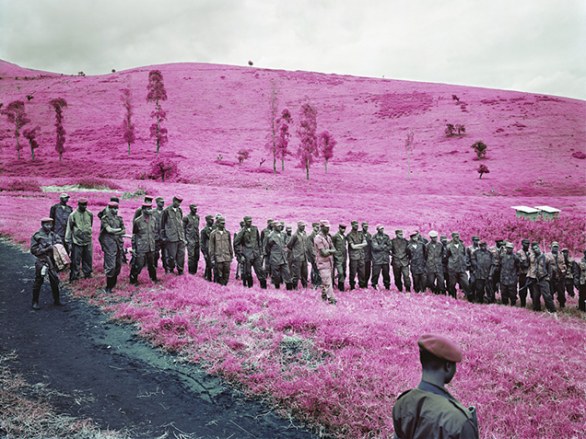Al padiglione Irlanda della 55a Biennale di Venezia le fotografie “in rosa” di Richard Mosse