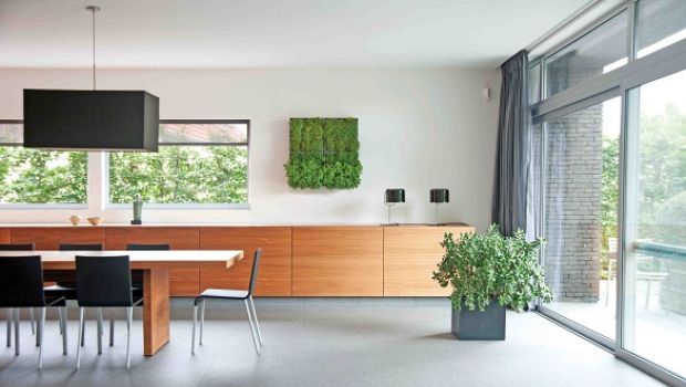 Con la parete verticale verde modulare Karoo di D&M il giardino è indoor