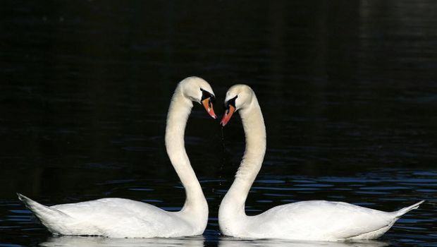 Le sorprese per San Valentino per lui o per lei