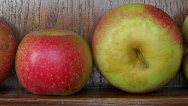 Le proprietà della mela, rossa, verde e gialla