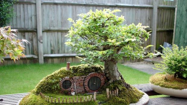 Il Signore degli Anelli, la casa di Bilbo Baggins in versione bonsai
