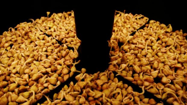 Cos’è il grano saraceno, le sue proprietà e le ricette più gustose