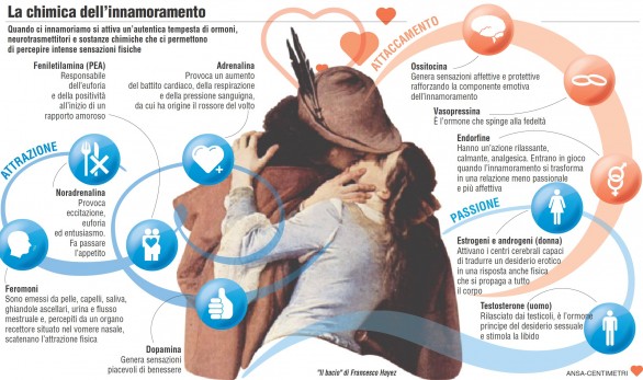 Oggi è San Valentino, ecco come funziona la chimica dell&#8217;innamoramento