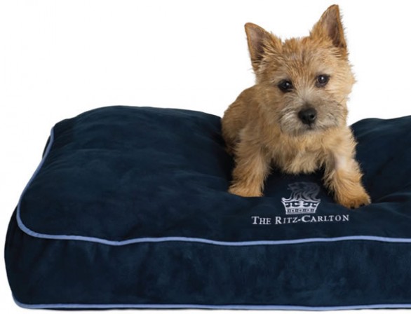 Ritz-Carlton Signature Pet Bed comfort di lusso per gli animali