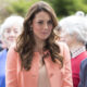 kate-middleton-passeggino-azzurro