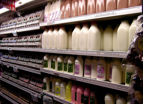 Intolleranza al lattosio: cosa non mangiare e i cibi più digeribili