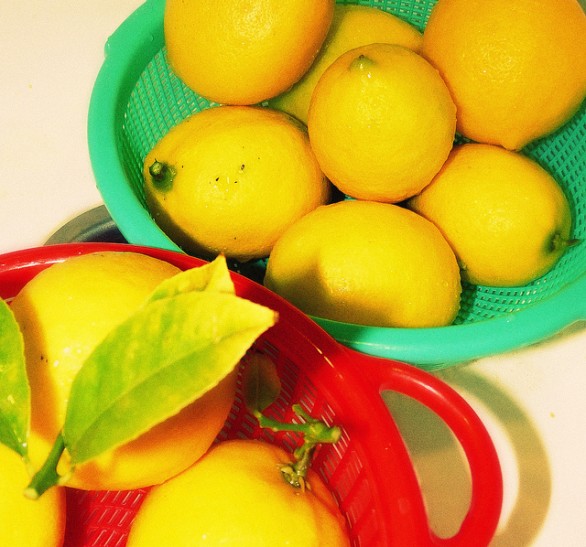 La ricetta del gelato allo yogurt e limone fresca e gustosa