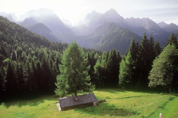 Biohotel Hermitage, baita tra gli alberi secolari a Madonna di Campiglio