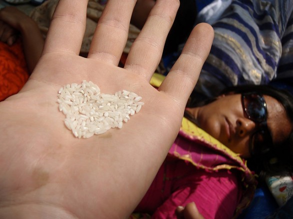 Guida al riso e agli alimenti a basso indice glicemico