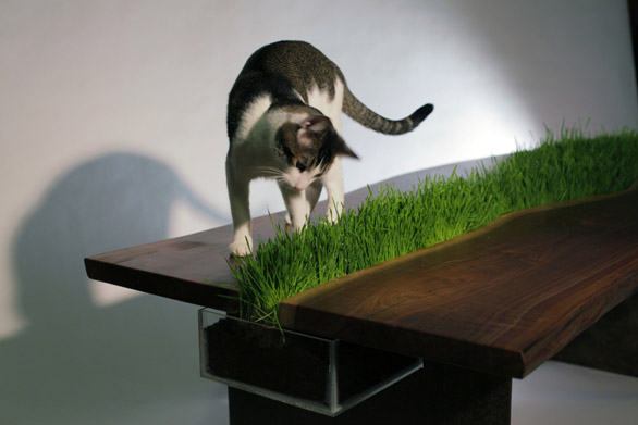 Il tavolo di legno e metallo con una striscia di erba