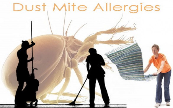 Allergia alla polvere: cause, rimedi e come prevenirla
