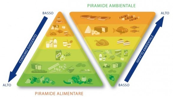 Le calorie dei pasti giornalieri secondo le tabelle nutrizionali