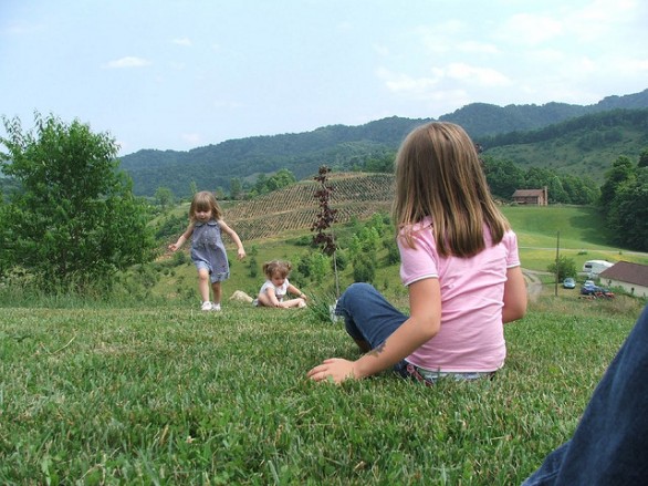 Vacanze estive in montagna con i bambini, le mete naturalistiche