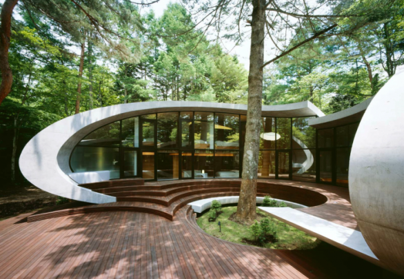 Shell House, la casa intorno all&#8217;albero