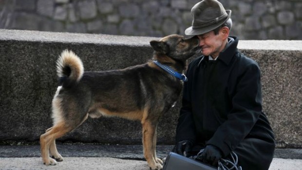 Un museo dedicato al migliore amico dell&#8217;uomo: al FooF protagonista è il cane