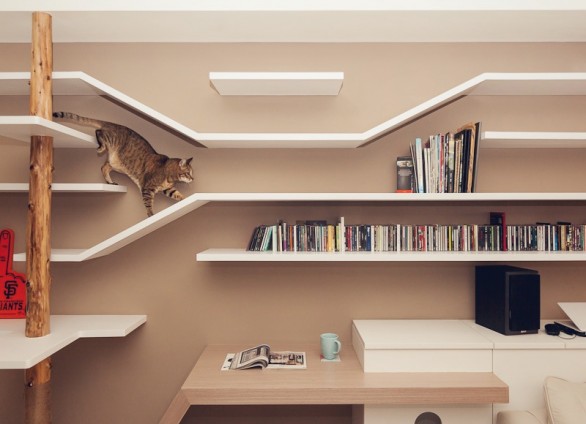 Una libreria a prova di… gatto