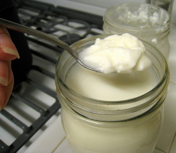 Come fare lo yogurt in casa