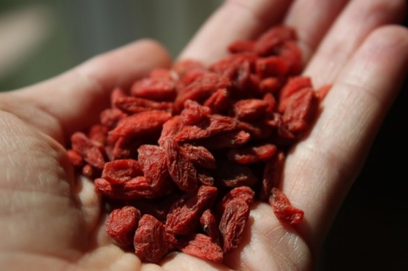 Le bacche di Goji cosa sono e come si assumono?