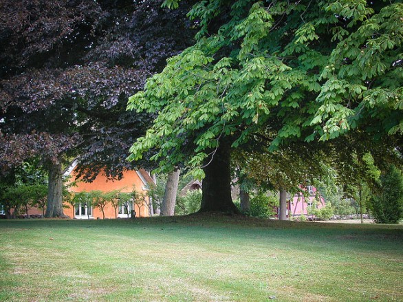 Gli alberi da giardino, come sceglierli e come piantarli