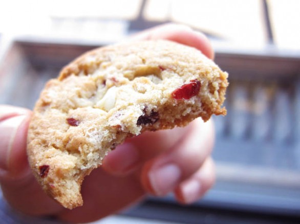 I biscotti leggeri con yogurt e frutti rossi per la prima colazione