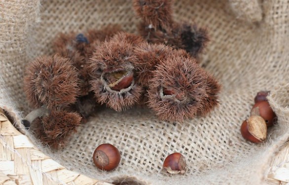 Le castagne al rum da fare in casa con la ricetta semplice