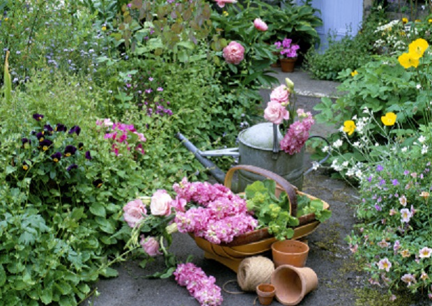 I fiori da giardino: quali scegliere secondo stagione