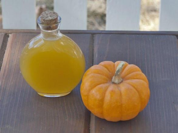 Il liquore alla zucca da fare in casa con la ricetta semplice