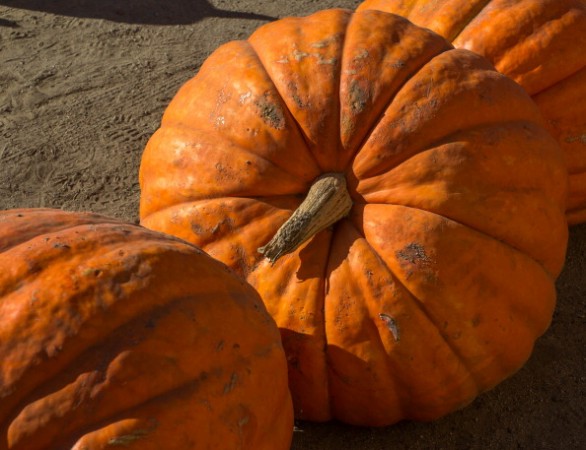 Le maschere nutrienti viso e corpo a base di zucca fatte in casa