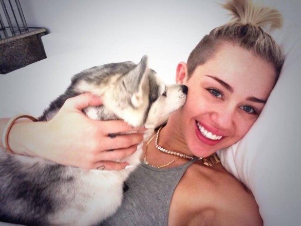 Miley Cyrus ha speso 15mila dollari per il look dei suoi cani