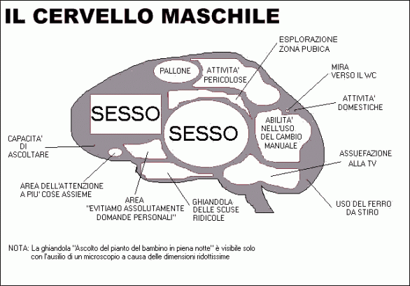 La perfetta intelligenza maschile di Mauro Scardovelli