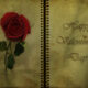 frasi d'amore per lui