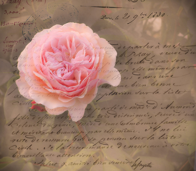 lettere d'amore