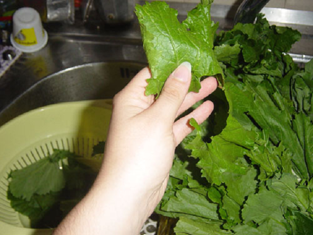 Come pulire le cime di rapa per lessarle o farle stufate