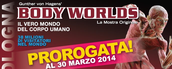 Mostre Bologna 2014: “Body Worlds” alla Sala Maggiore – ex Gam, prorogata fino al 30 marzo