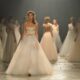 David Fielden sposa 2014