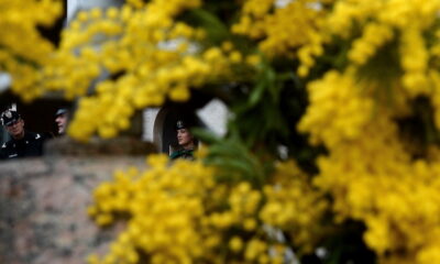 Festa della Donna poesie