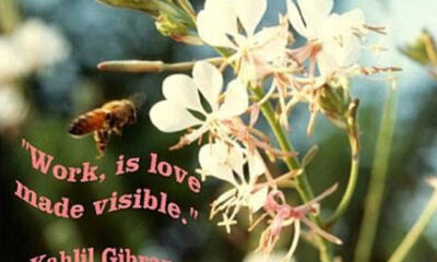 Poesie per il compleanno di Gibran