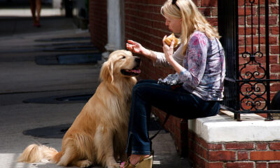 rapporto tra una donna e il suo cane