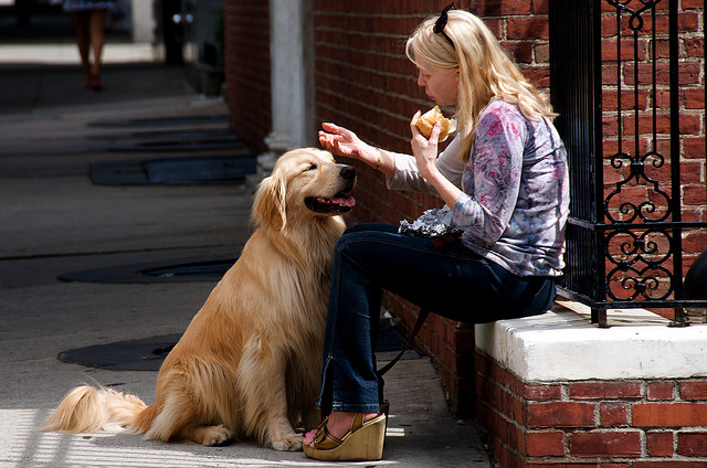 L&#8217;amore tra una donna e il suo cane commuove il web