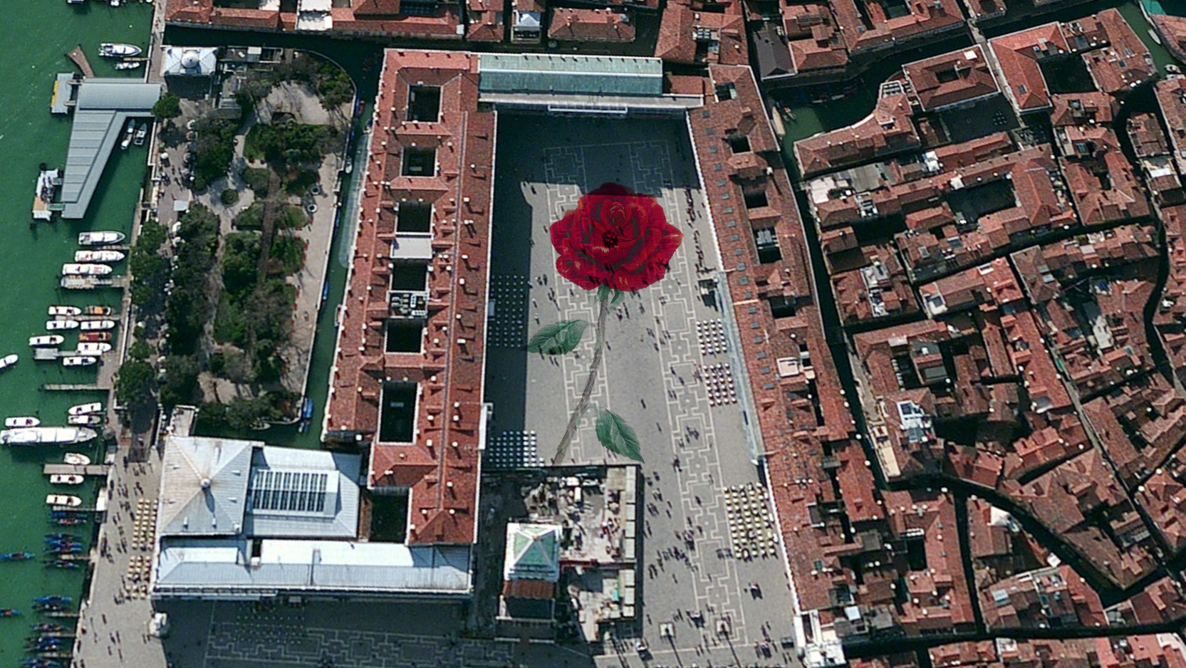 Il 25 Aprile Venezia si rivela con  la performance &#8220;Una rosa per Venezia&#8221;, simbolo d&#8217;amore