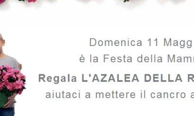 Festa della mamma, trova la piazza