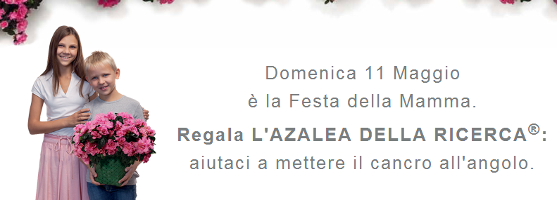 Festa della mamma, trova la piazza più vicina per acquistare l&#8217;azalea dell&#8217;Airc