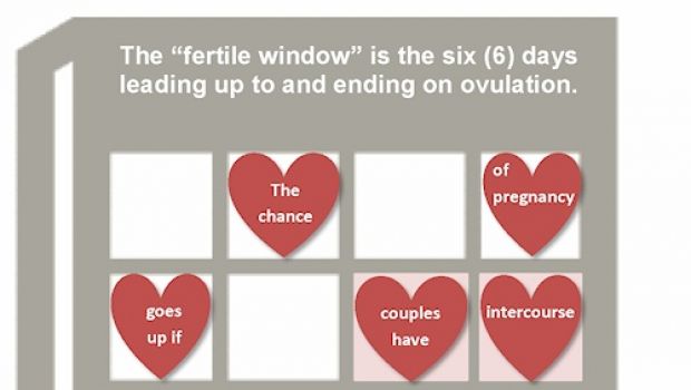 Il calcolo dell&#8217;ovulazione e ciclo irregolare: come conteggiare i giorni fertili?