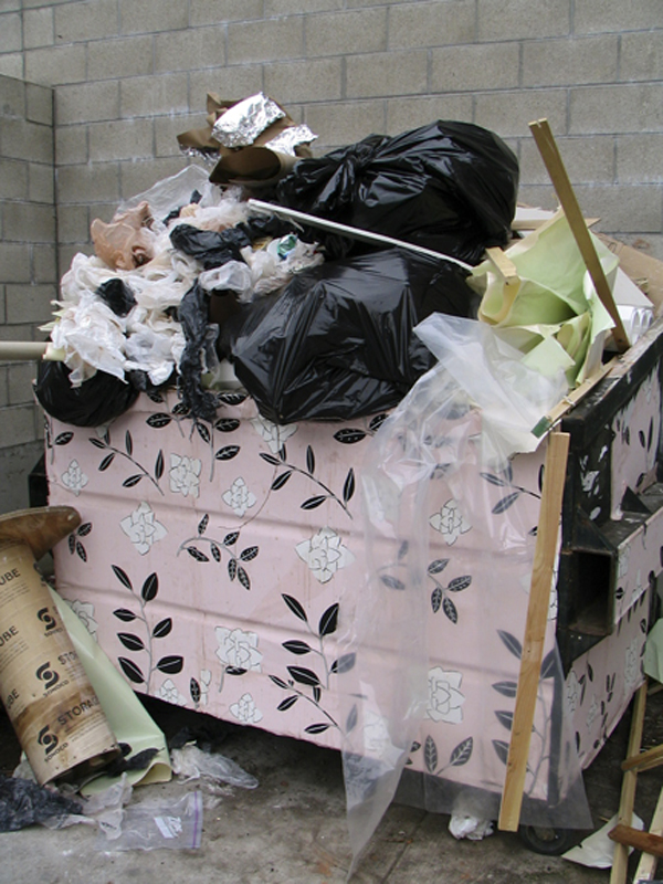 Wallpapared Dumpsters attivismo ambientale e arte Roma