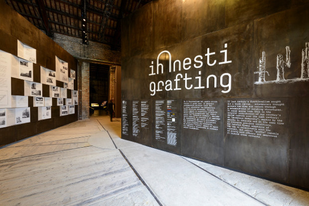 Biennale di Venezia: Artemide svela le installazioni luminose per il Padiglione Italia