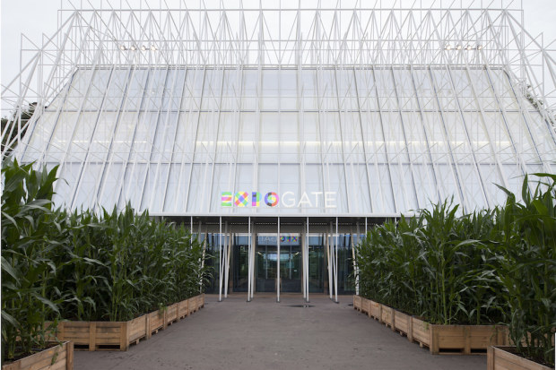 Expo 2015: un’installazione trasforma Milano in un campo di mais