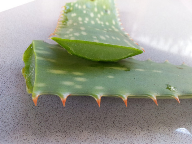 Lo struccante all&#8217;aloe fai da te per eliminare il trucco minerale dal viso