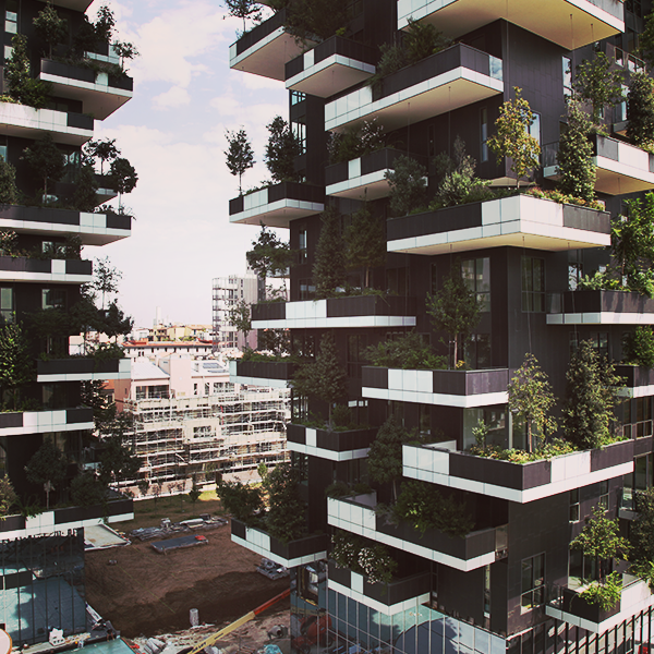 Il Bosco Verticale di Milano, la natura conquista la metropoli