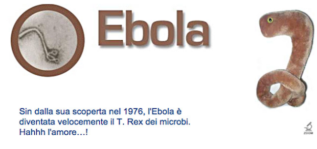 Ebola in versione peluche non mette paura