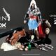 Assassin's Creed Pirate Assassin